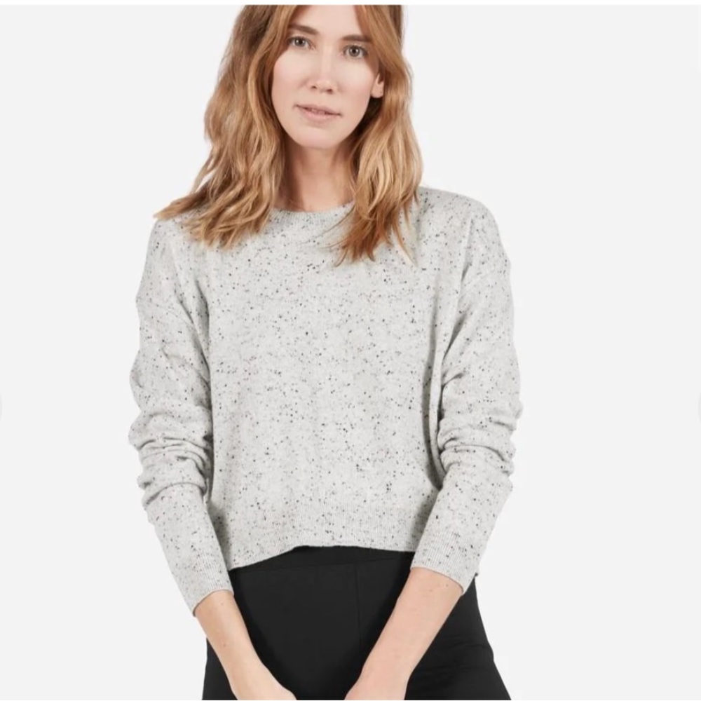 EverLane Cashmere Speckled Sweater